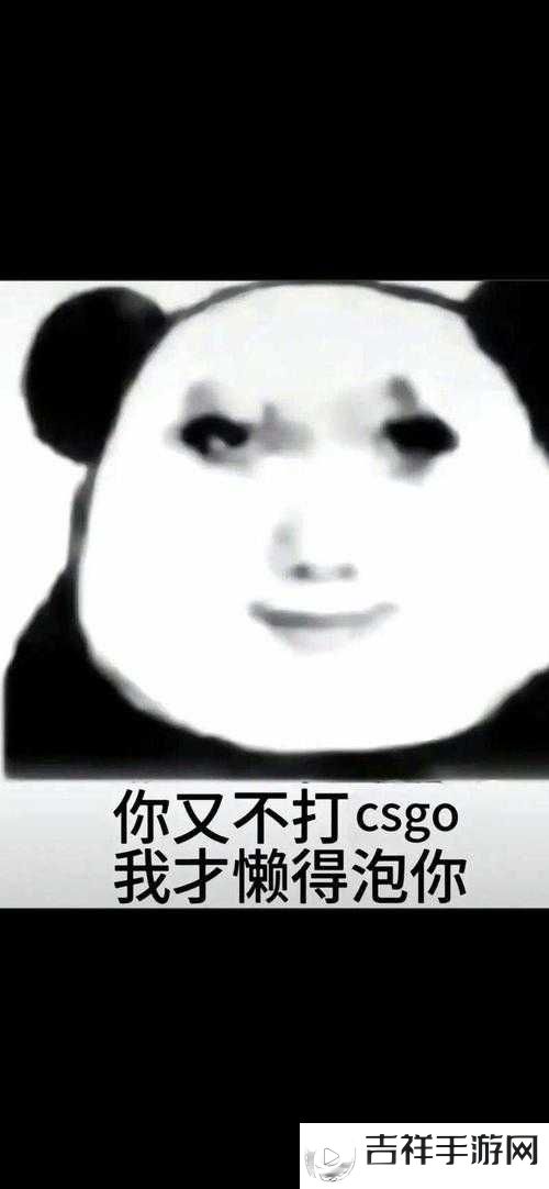 暴躁老姐 CSGO 心得分享:游戏技巧与感悟全揭秘