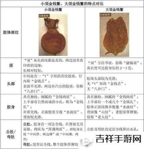 动物胶配方:优质材料与精准比例的完美融合之道
