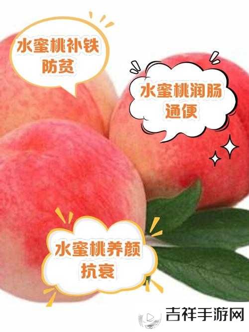 水蜜桃 8844- 关于水蜜桃 8844 的详细介绍与探讨