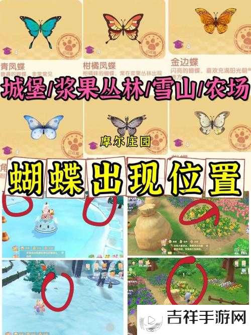 摩尔庄园木兰青凤蝶的寻觅与捕捉
