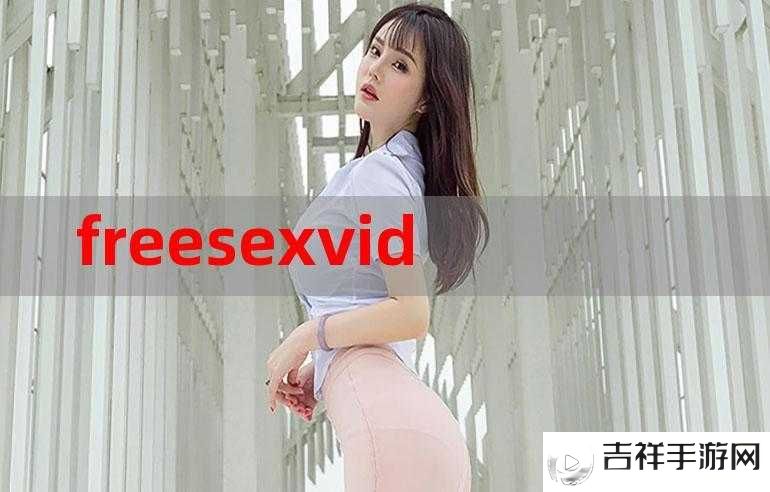 满足你的 Free 性:探索 VideoSD 的无限可能