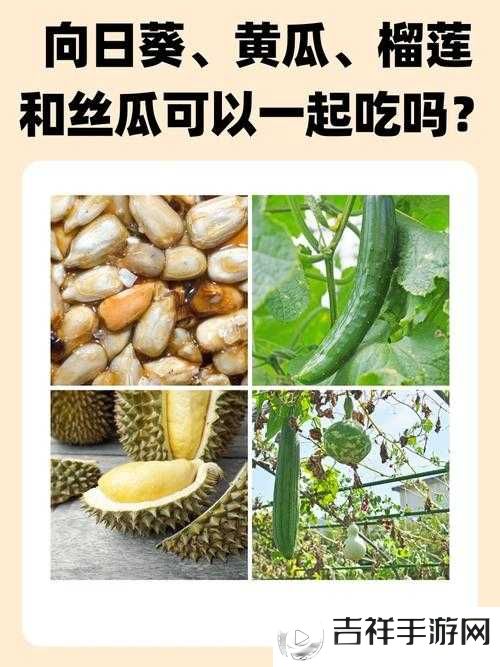 草莓、丝瓜、黄瓜、向日葵与榴莲的奇妙组合