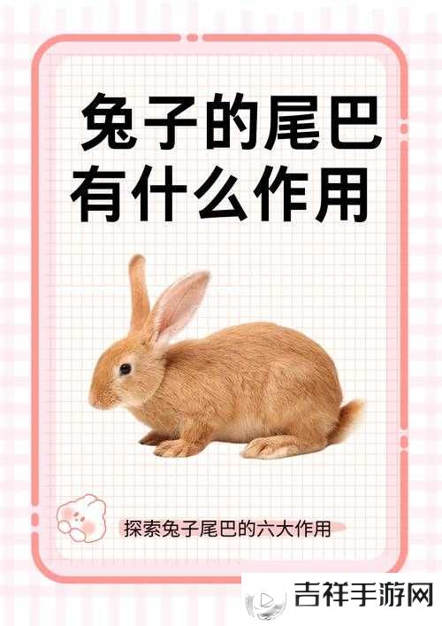 掇bbbb 掇 bbbb 掇五十:这是一个独特且有趣的表达