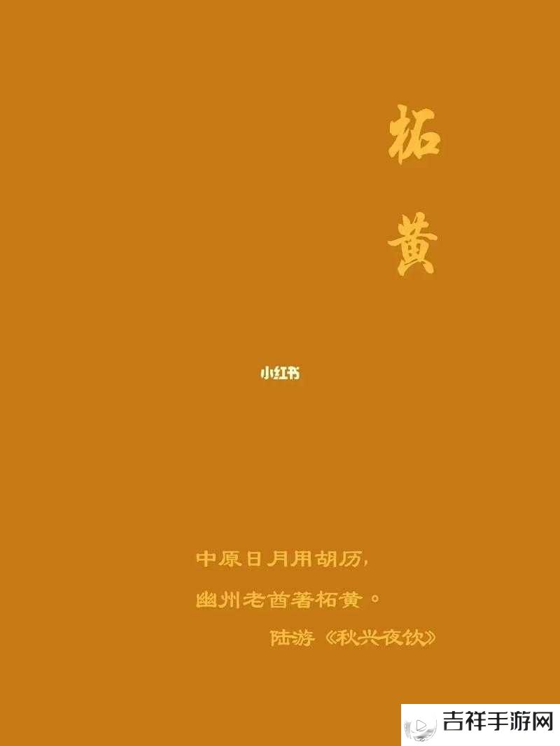 中国一级黄色所蕴含的独特魅力与价值探讨