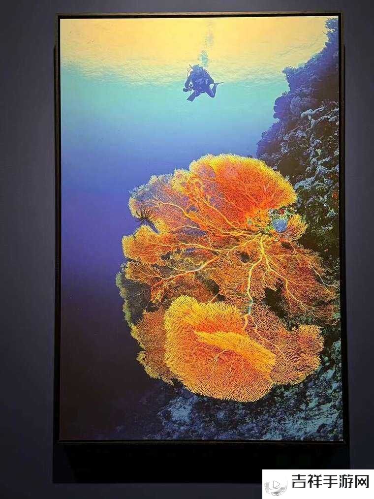 在线**资源的丰富探索与发现
