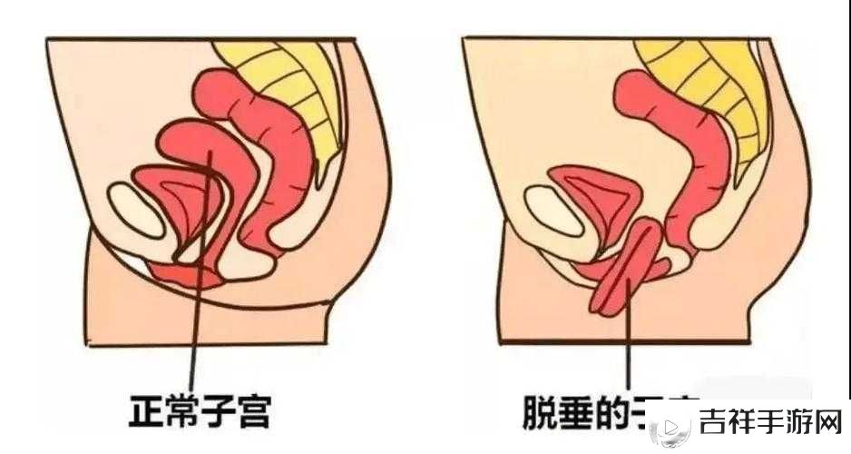 女人高潮时把腿张开会怎么样:深入探讨性高潮时的身体反应