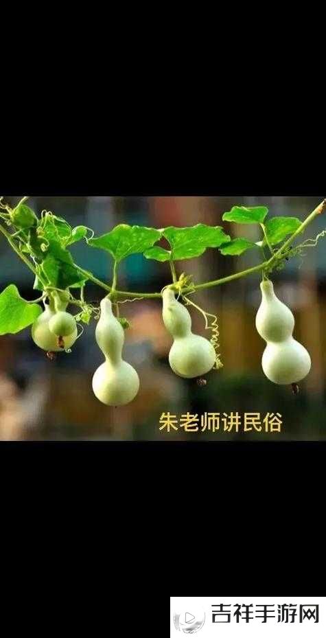 太荒初境收妖葫芦使用攻略