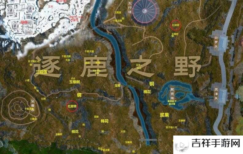 太荒初境红甜菜位置汇总,探寻修仙世界中的珍贵作物
