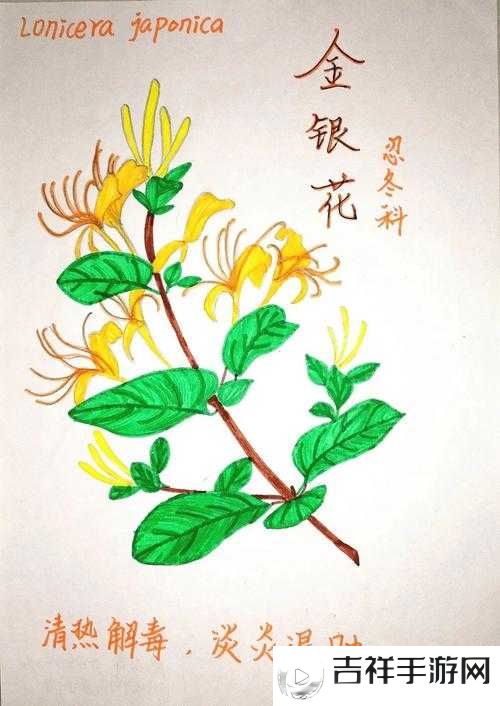 不含而立 by 金银花:一部令人深思的独特作品